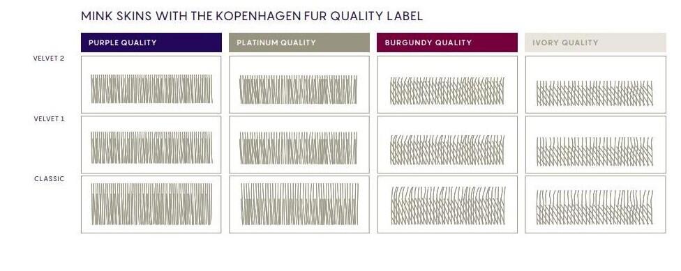 Схематичное изображения структуры и качества меха в различных маркировках на примере сортировки аукциона Kopenhagen Fur