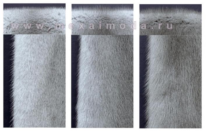 Норка сапфир североамериканская, скандинавская, русская