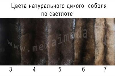 Натуральные цвета соболя