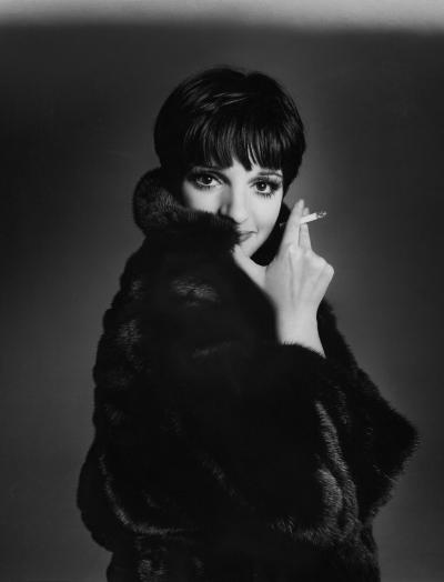 Лайза Минелли, Blackglama, 1973