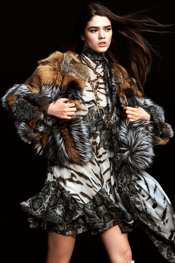 Roberto Cavalli