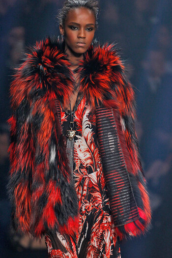 Roberto Cavalli