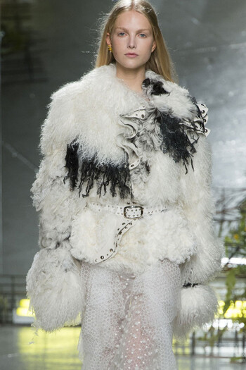 Rodarte