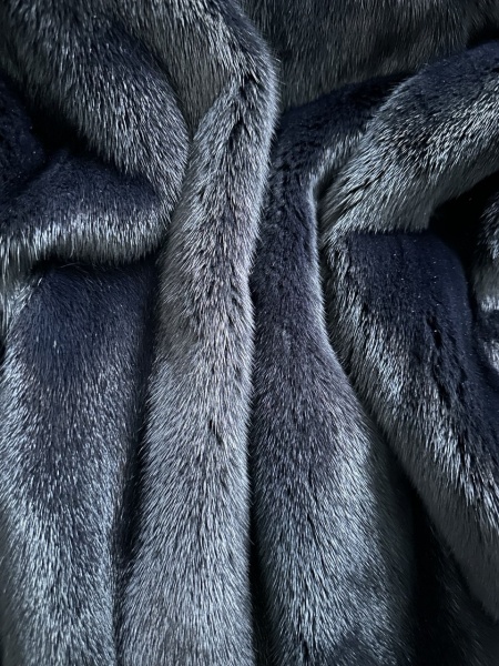 2026-02-25 09.01.08.jpg