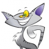 goga 79